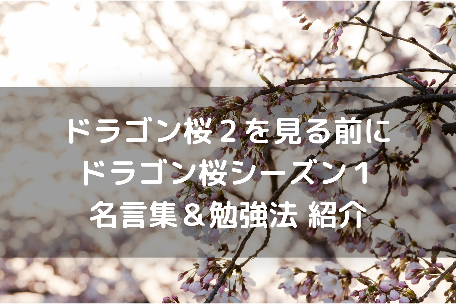21年春 ドラゴン桜2を見る前にシーズン1のあらすじ Sukelog